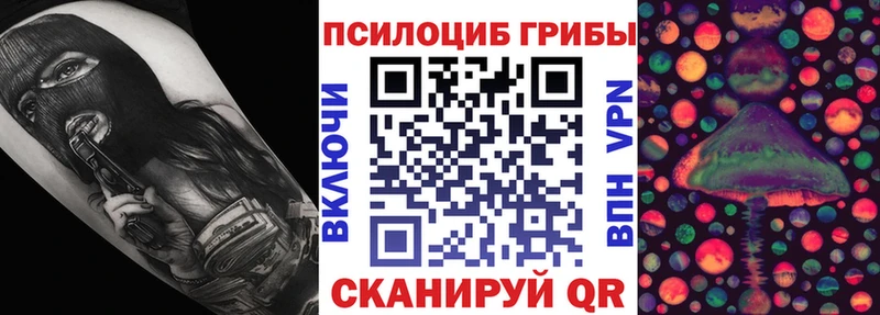 Купить  Краснотурьинск  Галлюциногенные грибы Cubensis 